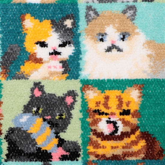 ルック!マイキャット プティバス