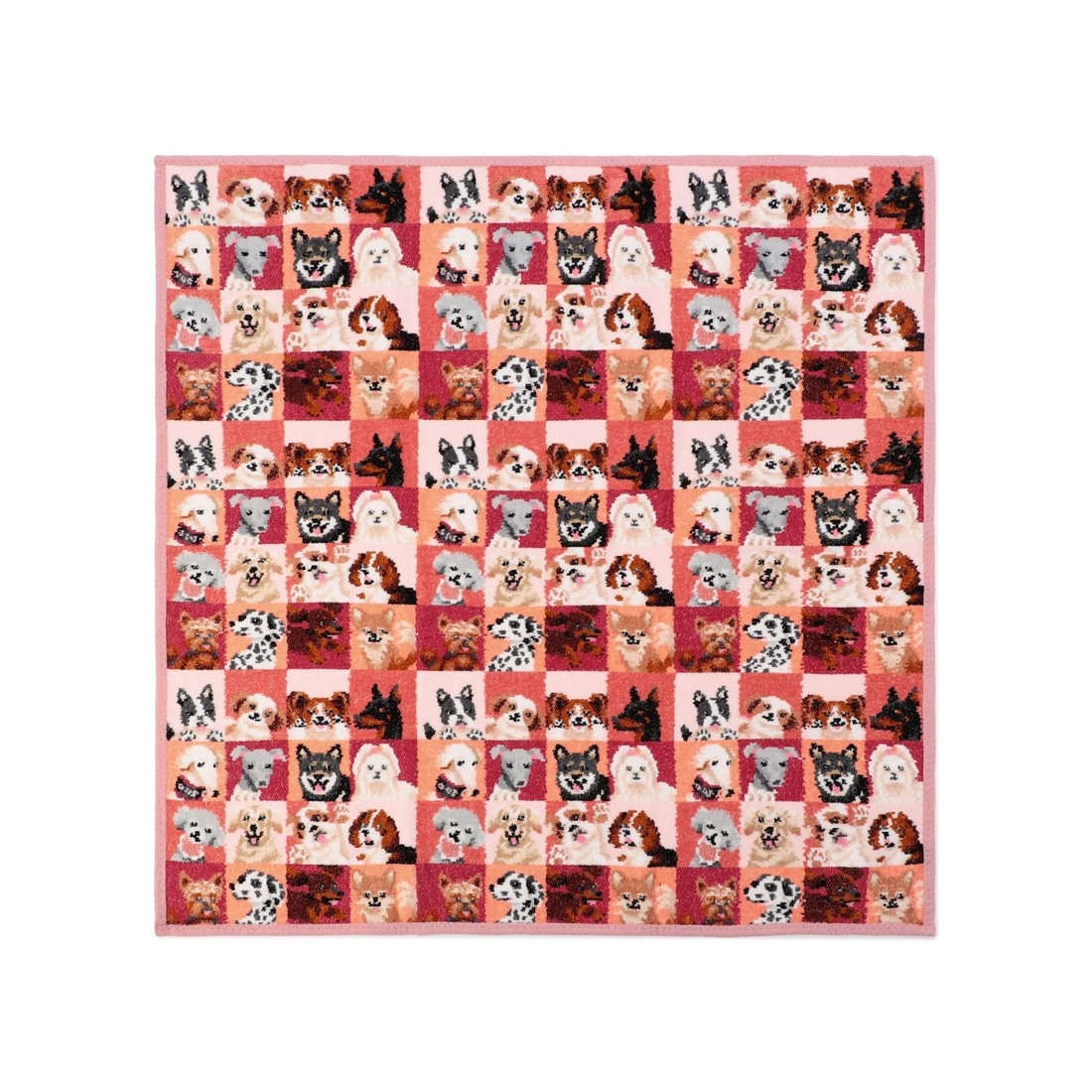 ルック!マイドッグ プティバス