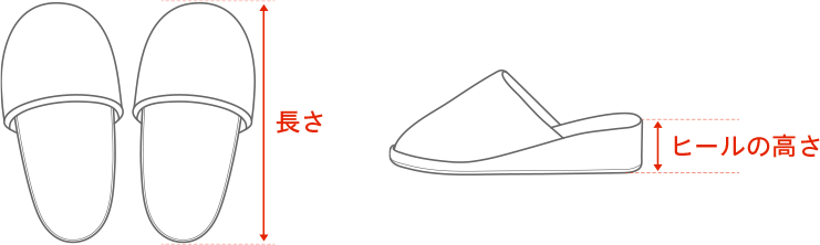 Xbp